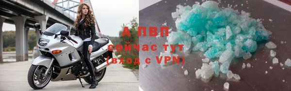 a pvp Аркадак