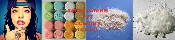 PSILOCYBIN Алзамай
