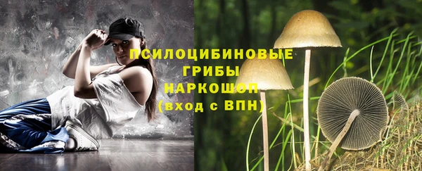 PSILOCYBIN Алзамай