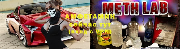PSILOCYBIN Алзамай